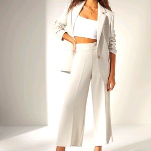 WANTED: Aritzia Sabina pant